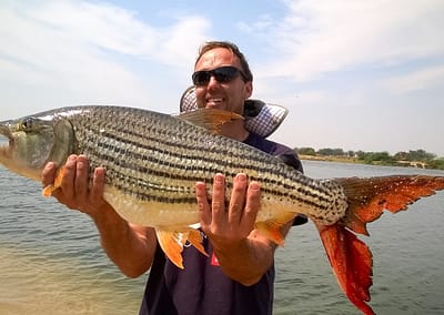 shackletons tiger fish fishing lodges upper zambezi zambia