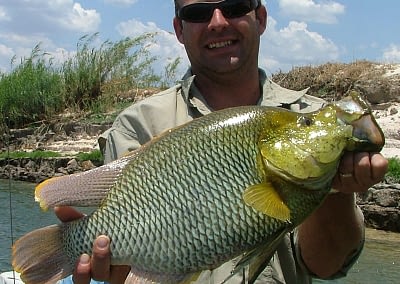 Shackletons Tiger Fishing Lodge Tiger and Bream Fishing on the Upper Zambezi River