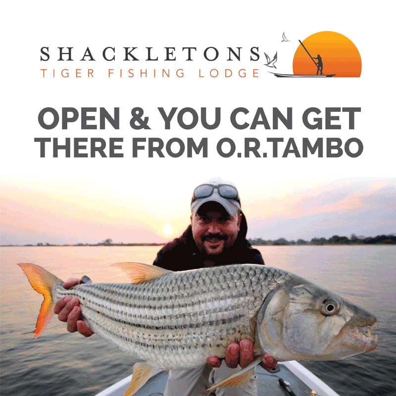 Shackletons Tiger Fishing Lodge Is Open